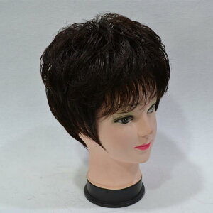 EBbO fB[X p V[gwA J[[wA   IF Cbh ӂӂ R ʋC