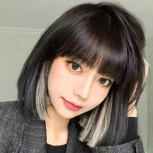 EBbO fB[X p Z S {uwA 12inch ubN  D ȗ ϔM t@bV  C`F RXv