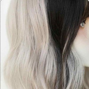 EBbO fB[X p V[g {u   ?F C O ϔM ig RXv