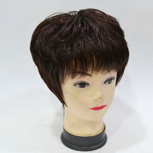 EBbO fB[X p V[g J[ wAs[X R    ig ×p Xq