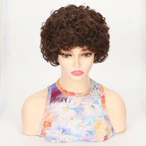 EBbO fB[X p V[g {u  ϔMt@Co[ R    킢 C`F RXv