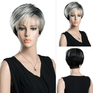 EBbO fB[X lp @ V[gwA Q Vo[O[ ZJ[wA wAEBbO