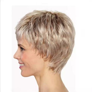 EBbO fB[X V[g  S[h O[ AbV  Of[V J[  wAs[X  ϔM RXv C`F2