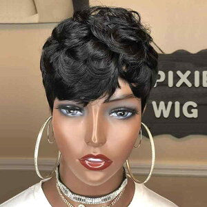 EBbO fB[X p  V[gwA ϔM RXv t@bV ig