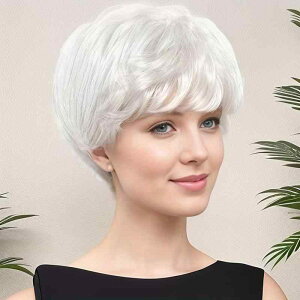 EBbO fB[X ϔM RXv F V[gwA N tEBbO  Cxg  AWA k