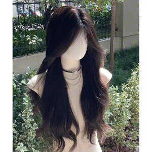 EBbO fB[X O F  R g ̎ O p  wAlbgt