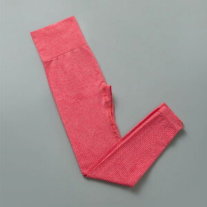 KEFA fB[X X|[cEFA jOEFA g[jOEFA V[X ㉺Zbg z Kpc  gbvX EhlbN ^ tBbglX tďH~ I