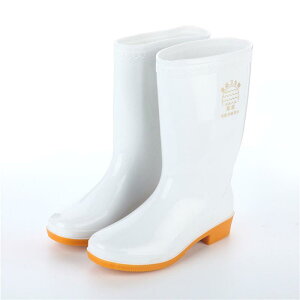 HipSC jp ϖ ώ_ σAJ ϋv Lb` ~[p ƌC ~ Ռz2