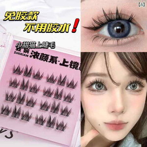 ܂ fB[X  킢 ㋾ W? ėp\2