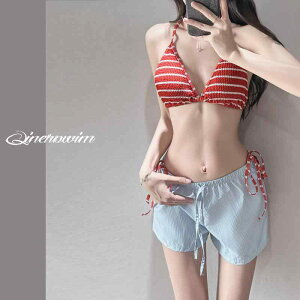  rLj fB[X XgCv Zp[g 3_Zbg ̌^Jo[  C r[` ][g V[gpc ^Lj2