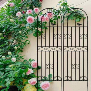 �K�[�f���t�F���X �� �x�� �A�C�A���t�F���X ���|�p�� �K�N �o�� �N���}�`�X �U�� jardinage �� �K�[�f�j���O �G�N�X�e���A �u���b�N �z���C�g �O���[�� �u�����Y ����120cm 150cm 180cm 200cm 220cm 240cm