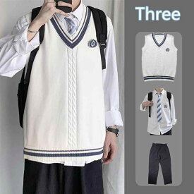 ニットベスト メンズ Vネック ニットセーター 学生 白 アクリル DK制服 スクール風 カップル お揃い 春秋