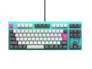 REALFORCE ���A���t�H�[�X ���s�b�h�g���K�[ �L�[�{�[�h ���v�� GX1 �É� 45g TKL�T�C�Y �Ód�e�ʖ��ړ_���� �ő�0.1mm�쓮 Windows