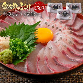 【SS限定1800円OFF＋抽選で全額ポイントバック！】＼通販の虎出演！虎絶賛！／金太郎ぶり 約1500g（約1.5kg）極上 ブリ 鰤 刺身 刺し身 さしみ 冷凍 解凍 お取り寄せ ギフト プレゼント 送料無料 お返し 贈答品 産地直送 真空パック 魚 骨取り 骨なし 骨抜き 無塩