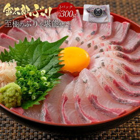 【SS限定200円OFF＋抽選で全額ポイントバック！】＼通販の虎出演！虎絶賛！／金太郎ぶり 約300g 極上 お歳暮 ブリ 鰤 刺身 刺し身 さしみ 切り身 1 匹 冷凍 解凍 お取り寄せ ギフト プレゼント お返し 贈答品 年配 産地直送 冷蔵 真空パック 魚 骨取り 済 骨なし 骨抜き 無塩