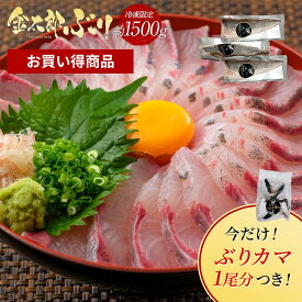 【SS限定43％OFF＋抽選で全額ポイントバック！】【お買い得商品／冷凍専用】金太郎ぶり 冷凍 約1500g（約1.5kg） 極上 ブリ 鰤 切り身 1 匹 ぶりかま おまけ付き ぶりしゃぶ 冷凍 解凍 ギフト プレゼント 送料無料 お返し 贈答品 産地直送 魚 骨取り 済 骨なし 骨抜き 無塩