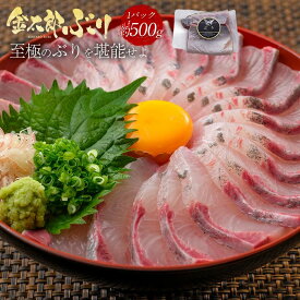 ＼通販の虎出演！虎絶賛！／金太郎ぶり 約500g 極上 ブリ 鰤 刺身 刺し身 さしみ 切り身 1 匹 冷凍 解凍 お取り寄せ ギフト プレゼント 送料無料 お返し 贈答品 産地直送 宮崎 真空パック 酒のつまみ お中元 魚 骨取り 骨なし 骨抜き 無塩