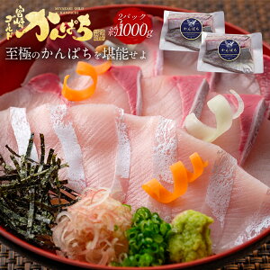 �{�� �S�[���h ����ς� ��1000g �������� �J���p�` �Ԕ� ���� ��1kg 2026 ���̓� �M�t�g �v���[���g ���Ԃ� �����i �O���� �ɏ� �Y�n���� �^��p�b�N �① �Ⓚ �l�ꂽ�� �h�g �h���g ������ �؂�