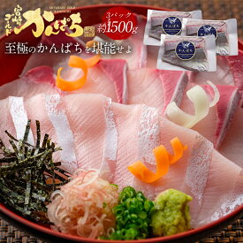 宮崎 ゴールド かんぱち 約1500g 送料無料 カンパチ 間八 勘八 約1.5kg 2026 父の日 ギフト プレゼント お返し 贈答品 グルメ 極上 産地直送 真空パック 冷蔵 冷凍 獲れたて 刺身 刺し身 さしみ 切り身 柵 さく 贅沢 魚 骨取り 済 骨なし 骨抜き 無塩