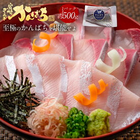 宮崎 ゴールド かんぱち 約500g 送料無料 カンパチ 間八 勘八 2026 父の日 ギフト プレゼント お返し 贈答品 お取り寄せ グルメ 極上 産地直送 真空パック 冷蔵 冷凍 獲れたて 刺身 刺し身 さしみ 切り身 柵 さく 贅沢 魚 骨取り済 骨なし 骨抜き 無塩