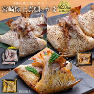 匠が育てた極上の鯛 タイ たい 鯛カマ 3種の味が楽しめる宮崎産真鯛かま 2026 ギフト プレゼント 送料無…