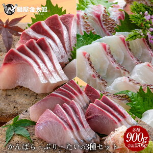 yⓀ蔼zI9/11 9:59܂Łzɏ ^ Ԃ Jp` 3 Zbg e900g v2700g hg 2025 u  hg hg hg  ؂g 1 C Ⓚ Mtg v[g  Ԃ i N