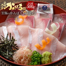 かんぱち500g 2024 ギフト プレゼント 送料無料 お返し 贈答品 年配 お取り寄せ お取りせグルメ 極上 獲れたて かんぱち カンパチ 間八 勘八 産地直送 柵 さく お刺身 刺し身 さしみ 宮崎 海鮮 刺身 真空パック 酒のつまみ 和食 カルパッチョ　カンパチ500