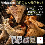 【マラソン中500円OFF】鰤屋金太郎 ブリカマ 鯛カマ BBQカマ5点セット 約2.7kg ぶりカマ 2個 約600g 鯛カ…