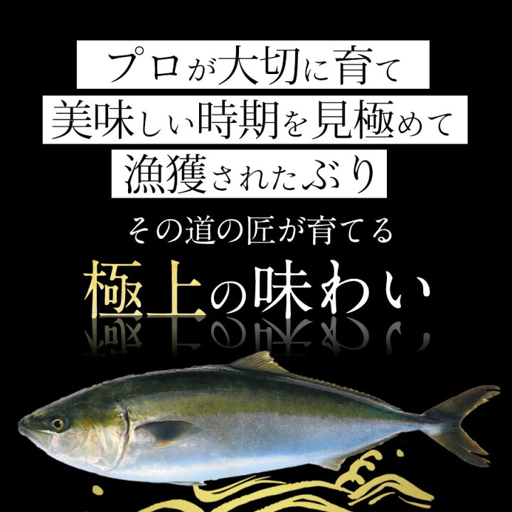 楽天市場 匠が育てた極上のブリ 鰤 刺身 500g 刺身はもちろんのこと 照り焼き ぶり大根 ぶりしゃぶなど数々の料理におすすめです 鰤屋金太郎