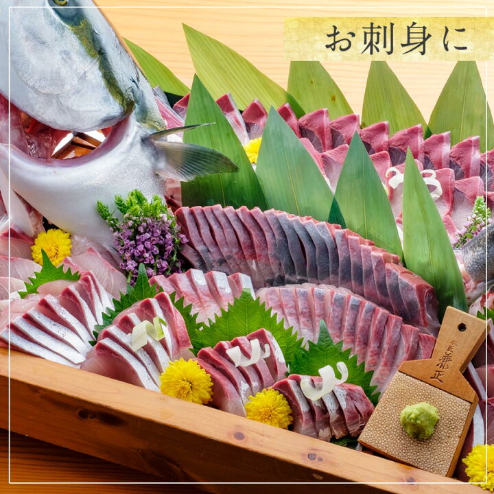 楽天市場 匠が育てた極上のブリ 鰤 刺身 1500g 1 5kg 刺身はもちろんのこと 照り焼き ぶり大根 ぶりしゃぶなど数々の料理におすすめです 鰤屋金太郎