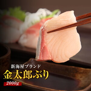 匠が育てた極上のブリ 鰤 刺身 2000g(2kg) 刺身はもちろんのこと、照り焼き、ぶり大根、ぶりしゃぶなど数々の料理におすすめです。