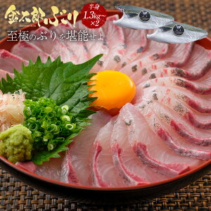ぶり 5kg 魚の人気商品 通販 価格比較 価格 Com