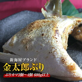 楽天市場 ブリの通販