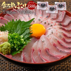 ぶり 5kg 魚の人気商品 通販 価格比較 価格 Com