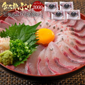 ʔ̂̌ՏoIՐ^IYԂ 2000gi2kgj ɏ 2024 ̓ u  hg hg hg  ؂g 1 C Ⓚ   Mtg v[g  Ԃ i Yn {