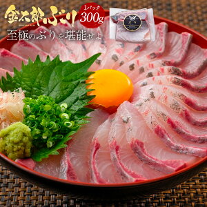 _ʔ̂̌ՏoIՐ^I^YԂ 300g ɏ 2024 ̓ u  hg hg hg  ؂g 1 C Ⓚ   Mtg v[g Ԃ i Nz Yn ① { 
