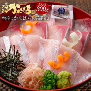 yX[p[Z[15%OFFz{ S[h ς 300g 2025Jp` Ԕ  Mtg v[g Ԃ i  O ɏ Yn ^pbN ① Ⓚ lꂽ hg hg