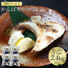 宮崎 ゴールド かんぱち カマ 2.4kg 以上（12個〜16個入り）4パック 2024送料無料 カンパチ 間八 勘八 ギフト プレゼント お返し 贈答品 お取り寄せ グルメ 極上 産地直送 真空パック 冷蔵 冷凍 獲れたて 柵 さく 贅沢 つまみ アテ