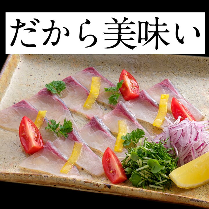 匠が育てた極上のカンパチ かんぱち 間八 刺身 勘八 塩焼き 刺身はもちろんのこと しゃぶしゃぶ ソテー 1000g 握り等数々の料理におすすめです