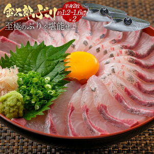 YԂ tB1.2-1.6kg i2j ɏ 2025 Ε u  hg hg hg  ؂g 1 C Ⓚ   Mtg v[g  Ԃ i tB Yn { C