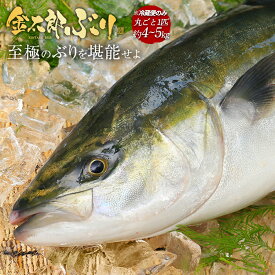 ぶり丸ごと 匠が育てた極上のぶり 鰤 丸ごと1尾 (約4kg-5kg ) お中元 ブリ 鰤 刺身 お刺身 刺し身 さしみ 切り身 冷凍 解凍 お取り寄せ ギフト プレゼント 送料無料 お返し 贈答品 年配 ソテー 握り 豪華 簡単 料理 海鮮