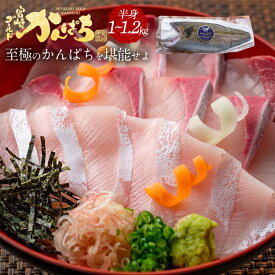宮崎 ゴールド かんぱち フィレ 1kg-1.2kg 半身（1枚）送料無料 カンパチ 間八 勘八 ギフト プレゼント お返し 贈答品 お取り寄せ グルメ 極上 産地直送 真空パック 冷蔵 冷凍 獲れたて 刺身 お刺身 刺し身 さしみ 切り身 柵 さく 贅沢 お中元