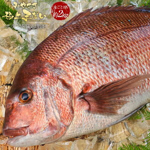 鯛 刺身の人気商品 通販 価格比較 価格 Com