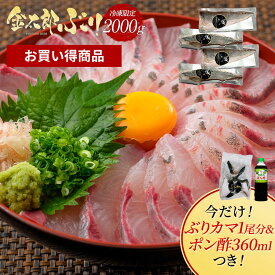 【お買い得商品／冷凍専用】金太郎ぶり 冷凍 約2000g（約2kg） ぶりかま1尾分＋ポン酢360ml付 極上 ブリ 鰤 ぶりしゃぶ 切り身 1 匹 冷凍 解凍 ギフト プレゼント 送料無料 お返し 贈答品 年配 産地直送 宮崎 海鮮 魚 骨取り 済 骨なし 骨抜き 無塩