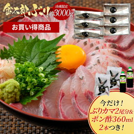 【お買い得ぶり／冷凍専用】金太郎ぶり 冷凍 約3000g（約3kg） ぶりかま2尾分＋ポン酢720ml付 極上 ブリ 鰤 ぶりしゃぶ 切り身 1 匹 冷凍 解凍 ギフト プレゼント 送料無料 お返し 贈答品 年配 産地直送 宮崎 海鮮 魚 骨取り 済 骨なし 骨抜き 無塩
