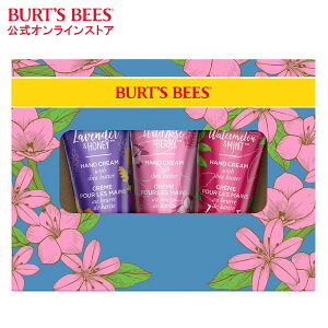 yBurt's Bees znhN[ MtggI28g 3{Zbg VRR pBOX VAo^[ ~cE ێ r[YbNX X A o[cr[Y ێN[ Mtg v[g A