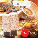 マラソン期間48%OFF ハンガリー産 純粋アカシア蜂蜜 500g×2本 送料無料 スタンドボトル はちみつ 蜂蜜 ハチミツ 使いやすい スタンドボトル 結晶しにくい パン トースト ヨーグルト コーヒー 低GI アカシアハチミツ アカシアはちみつ　アカシアハチミツ