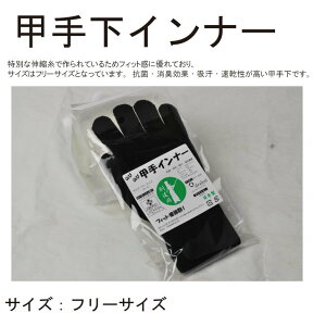 hL b艺܁yb艺Ci[z5{w    艺 b艺  t[TCY R hL  L  w Z l   V   