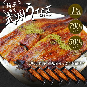 yVizBȂ@Ă肨ZbgIׂ3TCY v1000g/700g/500gȏ 100g̊Ălߍ킹lłił@pɐ@KiOi@󂠂 AEgbg 