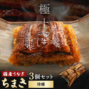 武州うなぎ うなぎちまき 3個セット 国産蒲焼 武州ガスのお米使用 武州米 国産うなぎ お歳暮 家庭用 うなぎ 贈答用 内祝い 冷凍 真空パック 埼玉育ち 川越 ウナギ ギフト 鰻 誕生日 プレゼン
